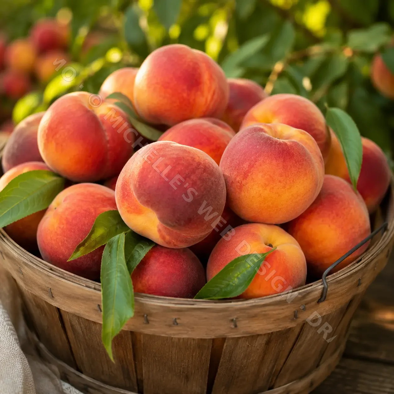Summer peaches